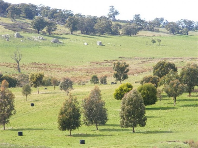 Kyneton VIC 3444