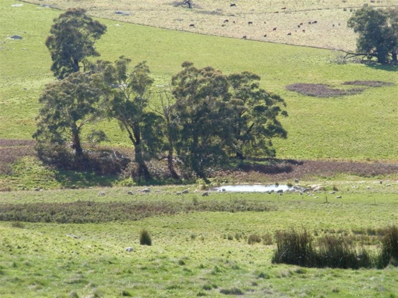 Kyneton VIC 3444