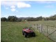 Kyneton VIC 3444