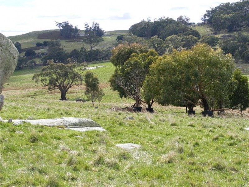 Kyneton VIC 3444