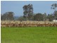 204 Luckmans Road, Boisdale VIC 3860