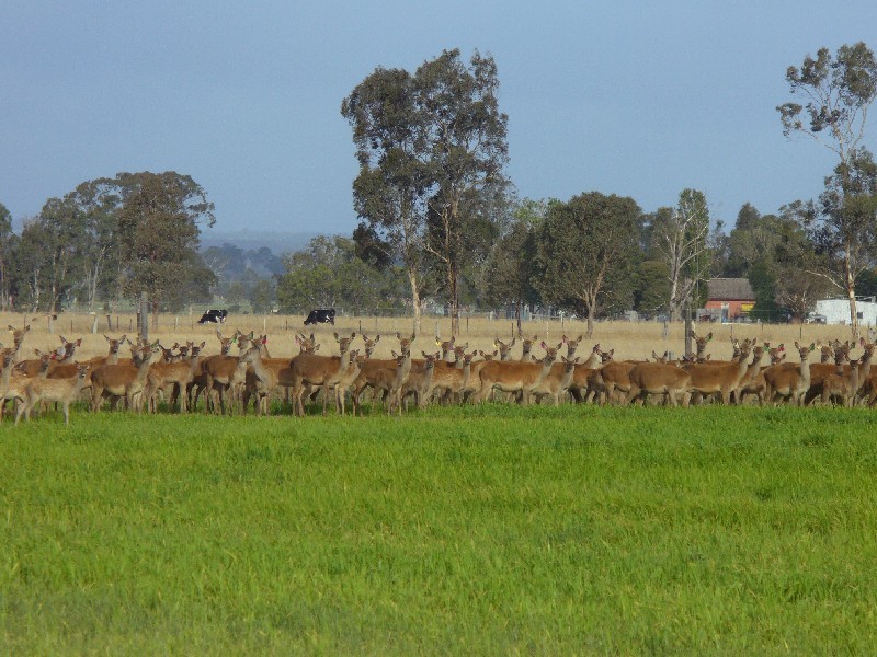 204 Luckmans Road, Boisdale VIC 3860