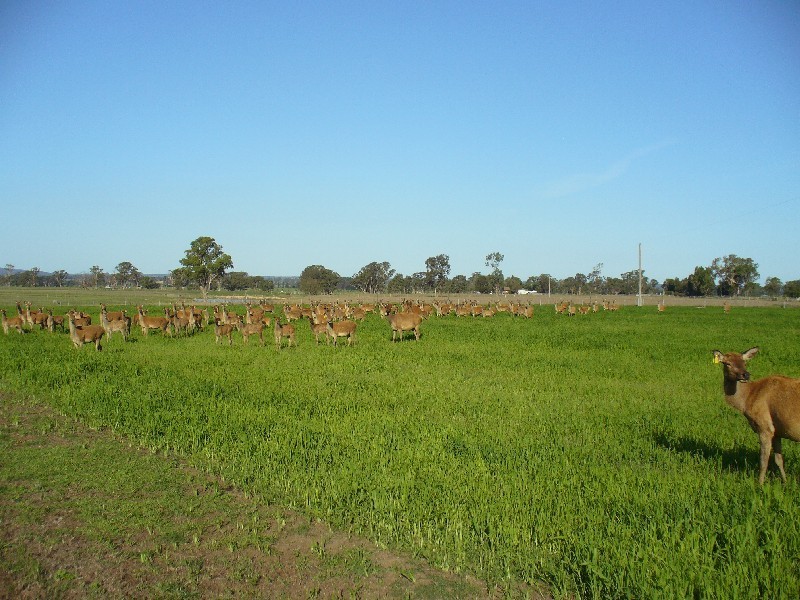 204 Luckmans Road, Boisdale VIC 3860