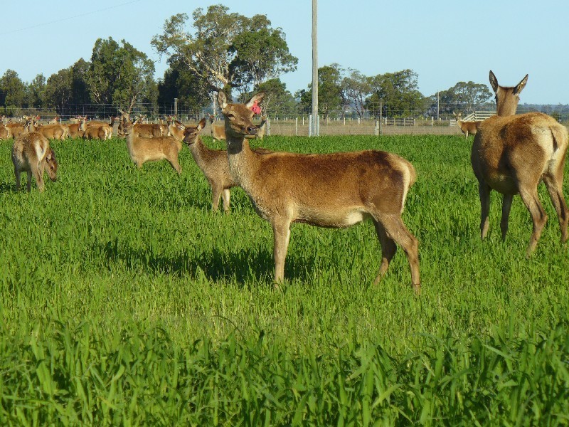 204 Luckmans Road, Boisdale VIC 3860