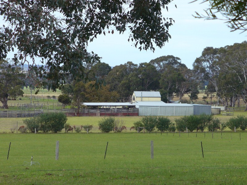 204 Luckmans Road, Boisdale VIC 3860