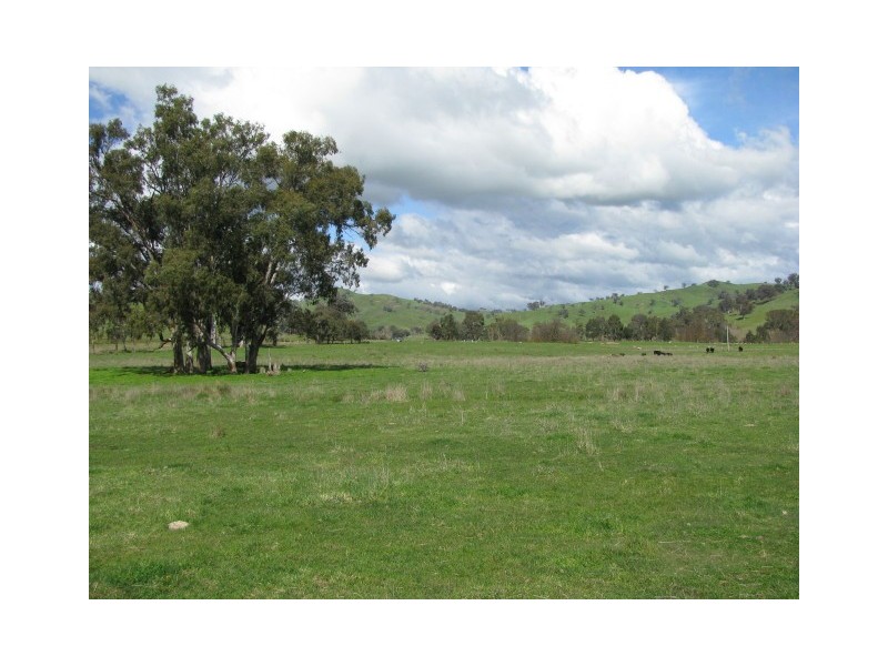 108C Spring Creek Road, Alexandra VIC 3714