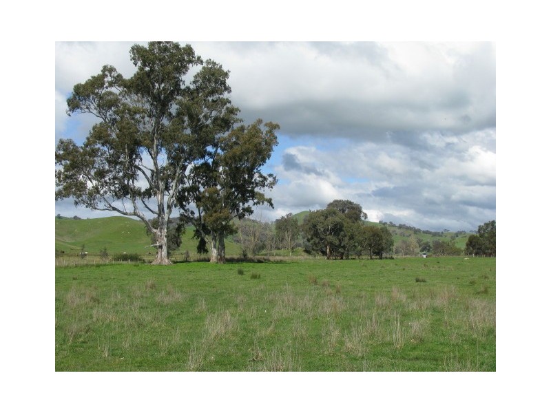 108C Spring Creek Road, Alexandra VIC 3714