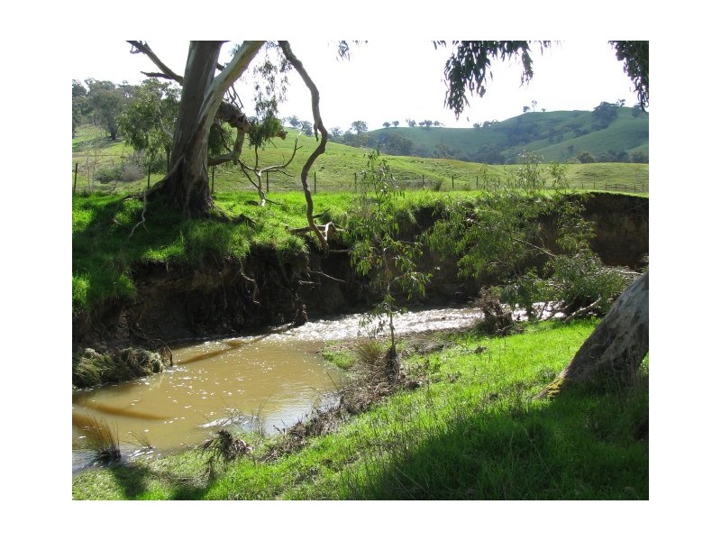 108C Spring Creek Road, Alexandra VIC 3714