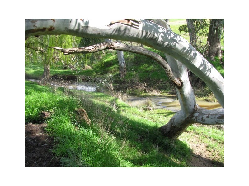 108C Spring Creek Road, Alexandra VIC 3714