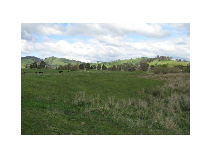 108C Spring Creek Road, Alexandra VIC 3714