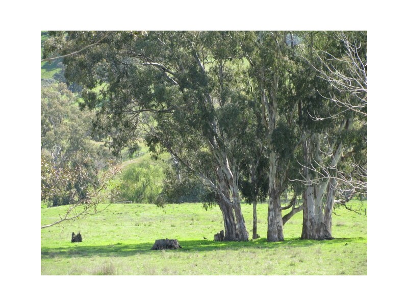 108C Spring Creek Road, Alexandra VIC 3714