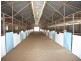 102-104  Barooga St, Berrigan NSW 2712