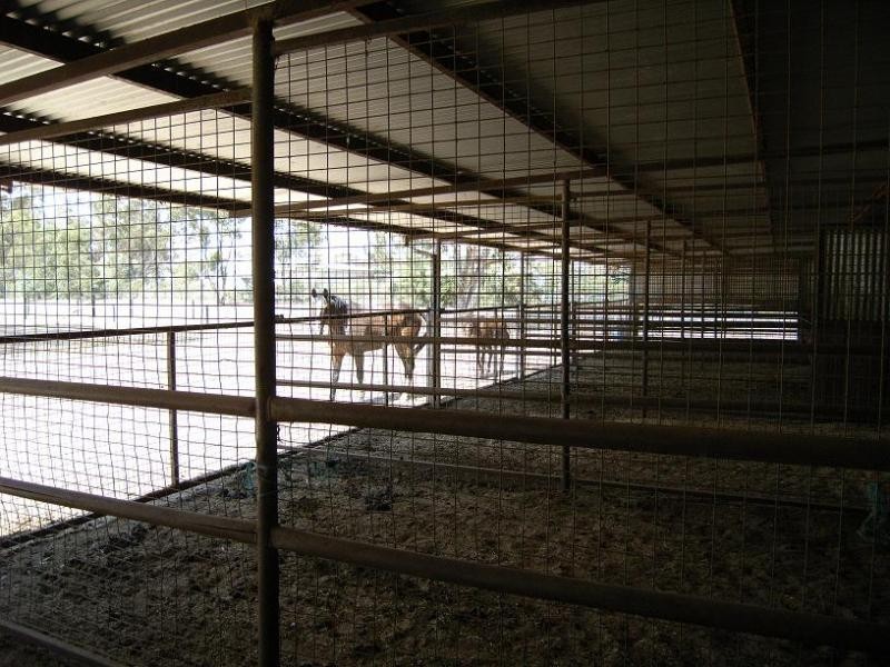 102-104  Barooga St, Berrigan NSW 2712
