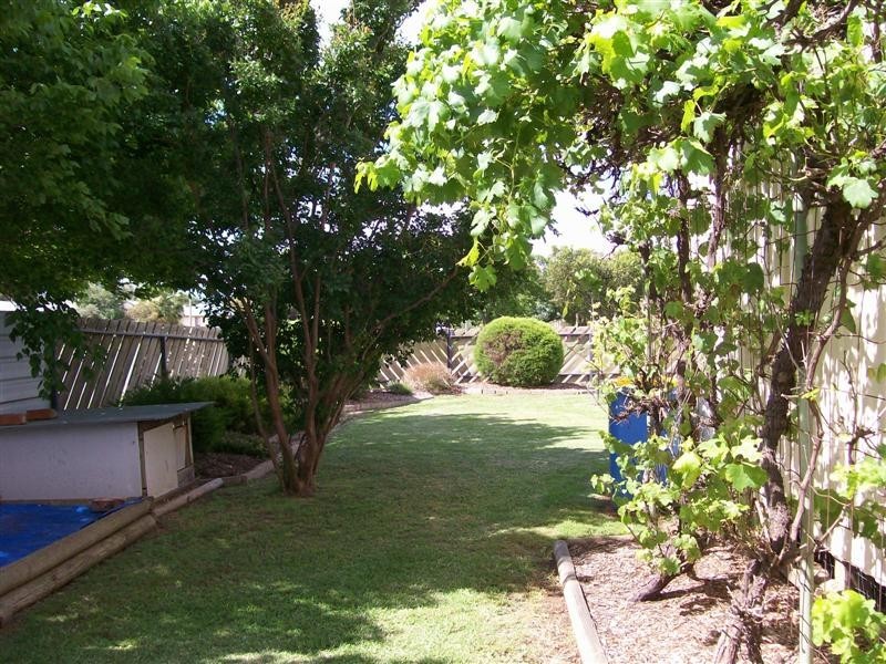 66 Osborne St, Finley NSW 2713