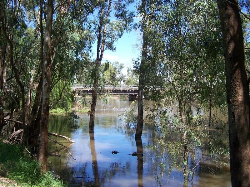 84 Yang Yang, Maude NSW 2711