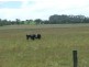 Inverloch VIC 3996