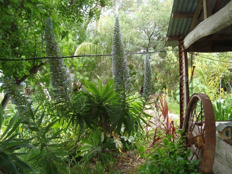 2 Forbes Street, Murrabit VIC 3579