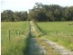 Buffalo VIC 3958