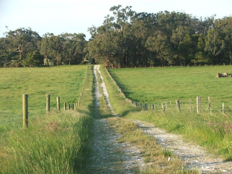 Buffalo VIC 3958