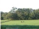 Buffalo VIC 3958