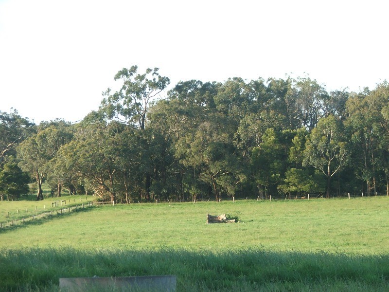 Buffalo VIC 3958