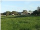 Buffalo VIC 3958