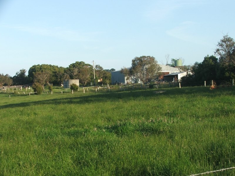 Buffalo VIC 3958