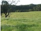 Buffalo VIC 3958