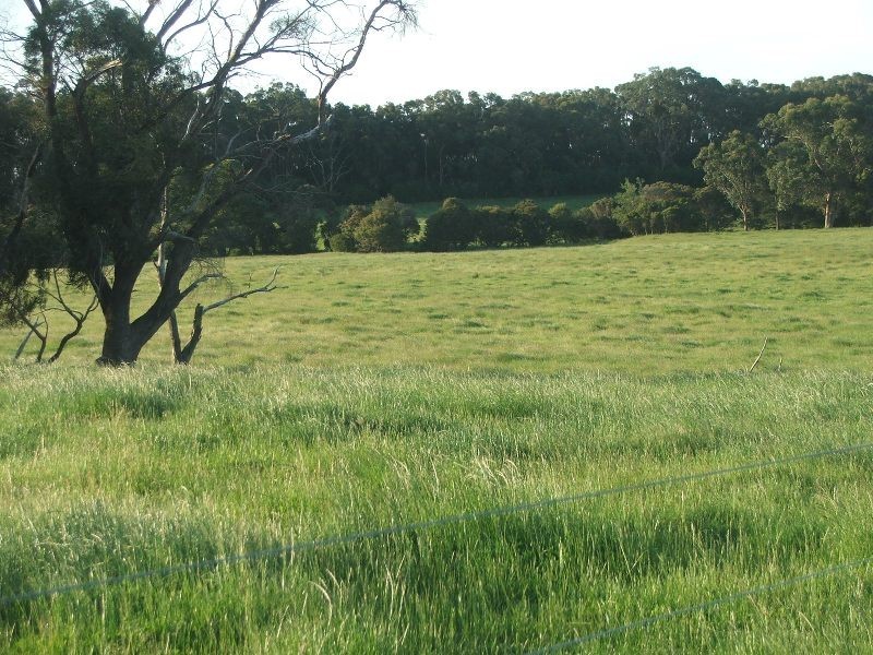 Buffalo VIC 3958