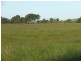 Buffalo VIC 3958