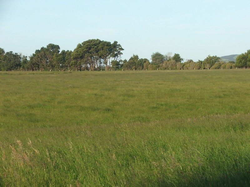 Buffalo VIC 3958