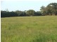 Buffalo VIC 3958