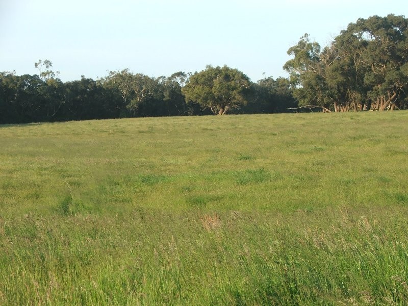 Buffalo VIC 3958