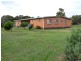 Buffalo VIC 3958