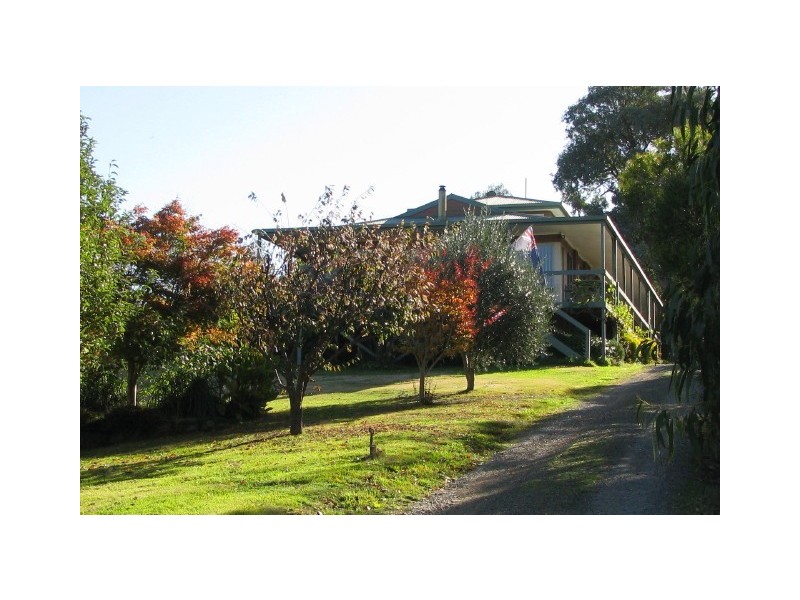 55 Joe Taylor Rise, Eildon VIC 3713