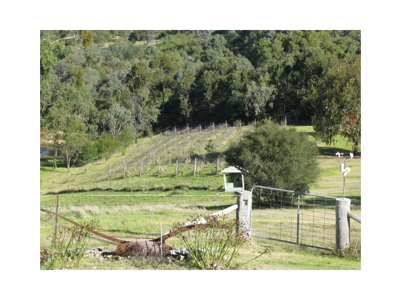 55 Joe Taylor Rise, Eildon VIC 3713