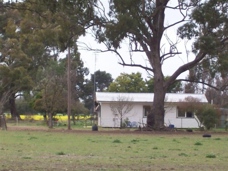80 MOMALONG ST, Berrigan NSW 2712