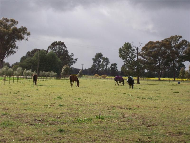 80 MOMALONG ST, Berrigan NSW 2712