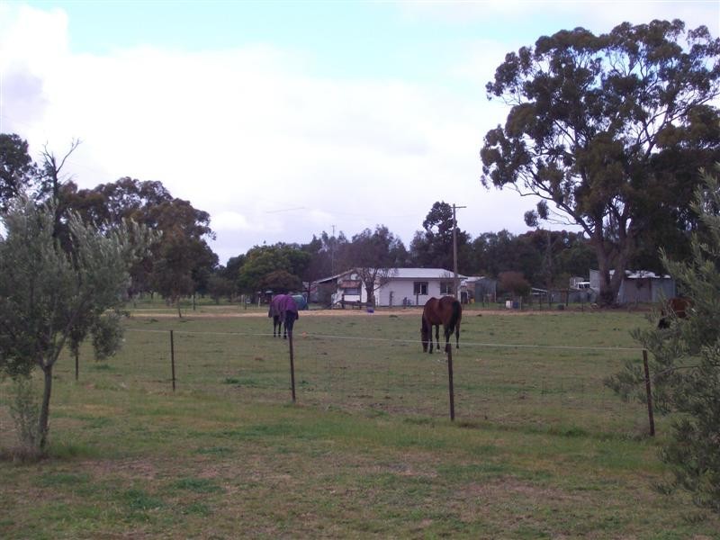 80 MOMALONG ST, Berrigan NSW 2712