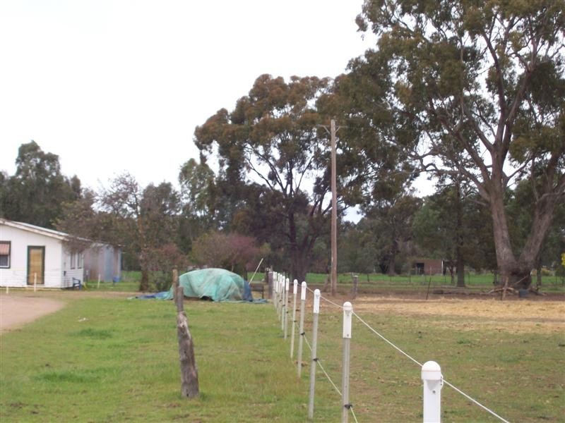 80 MOMALONG ST, Berrigan NSW 2712