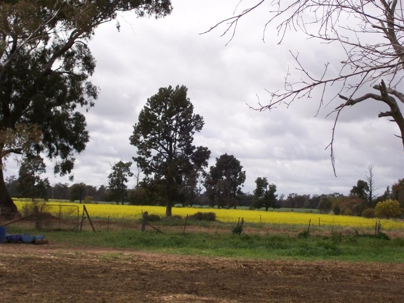 80 MOMALONG ST, Berrigan NSW 2712