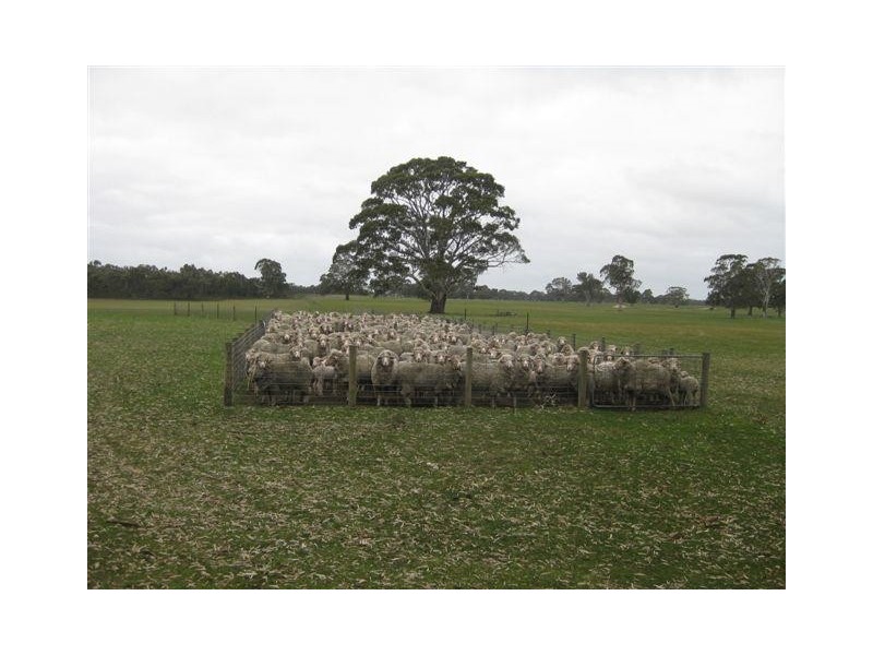 554 Edenhope-Charam Rd, Edenhope VIC 3318