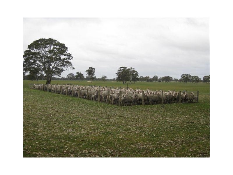 554 Edenhope-Charam Rd, Edenhope VIC 3318