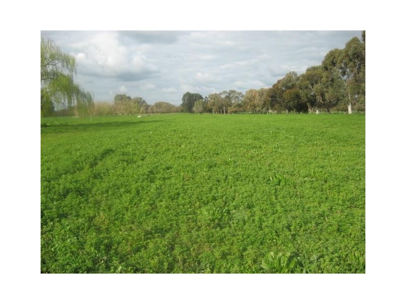 Rochester VIC 3561