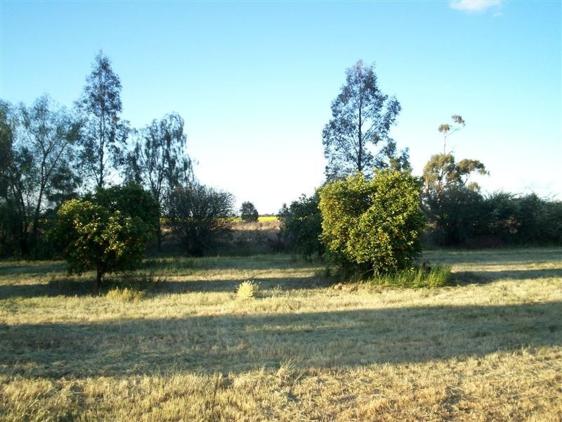 Berrigan NSW 2712