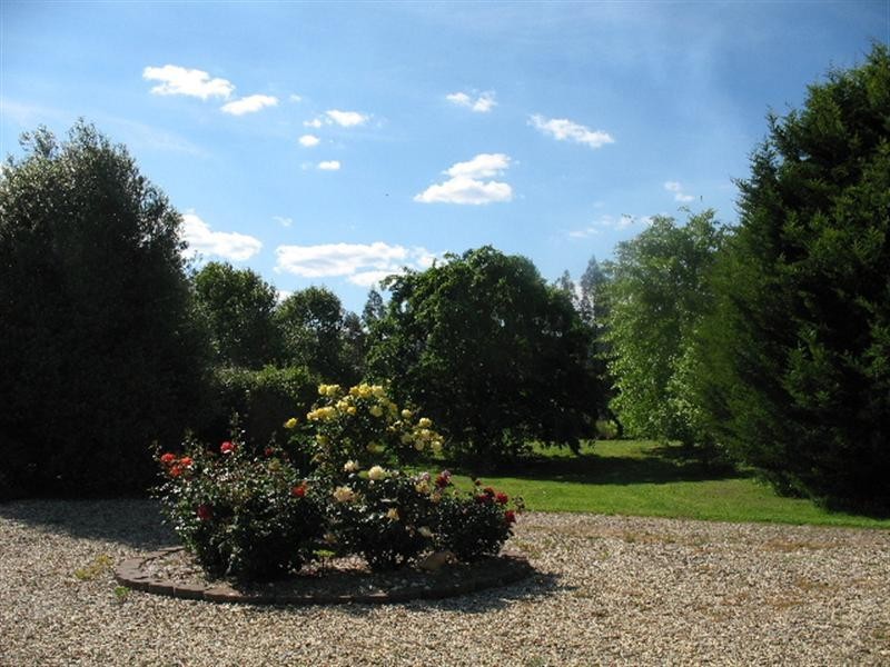 785 Back Eildon Road, Eildon VIC 3713