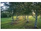 785 Back Eildon Road, Eildon VIC 3713