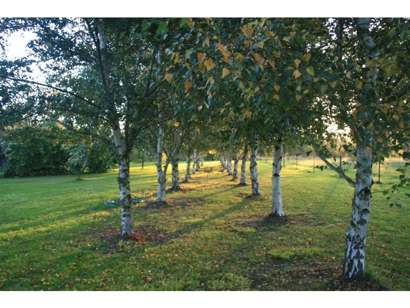 785 Back Eildon Road, Eildon VIC 3713