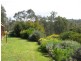 81 Yellow Box Ridge, Acheron VIC 3714