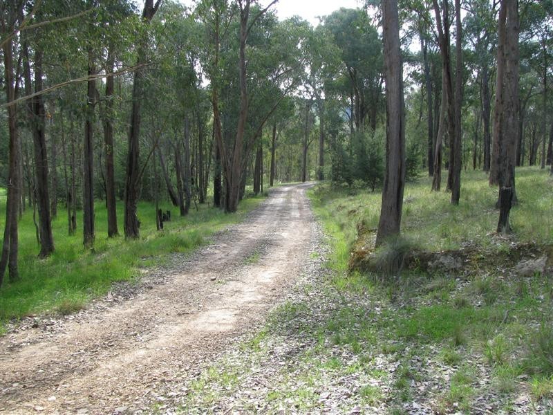 81 Yellow Box Ridge, Acheron VIC 3714